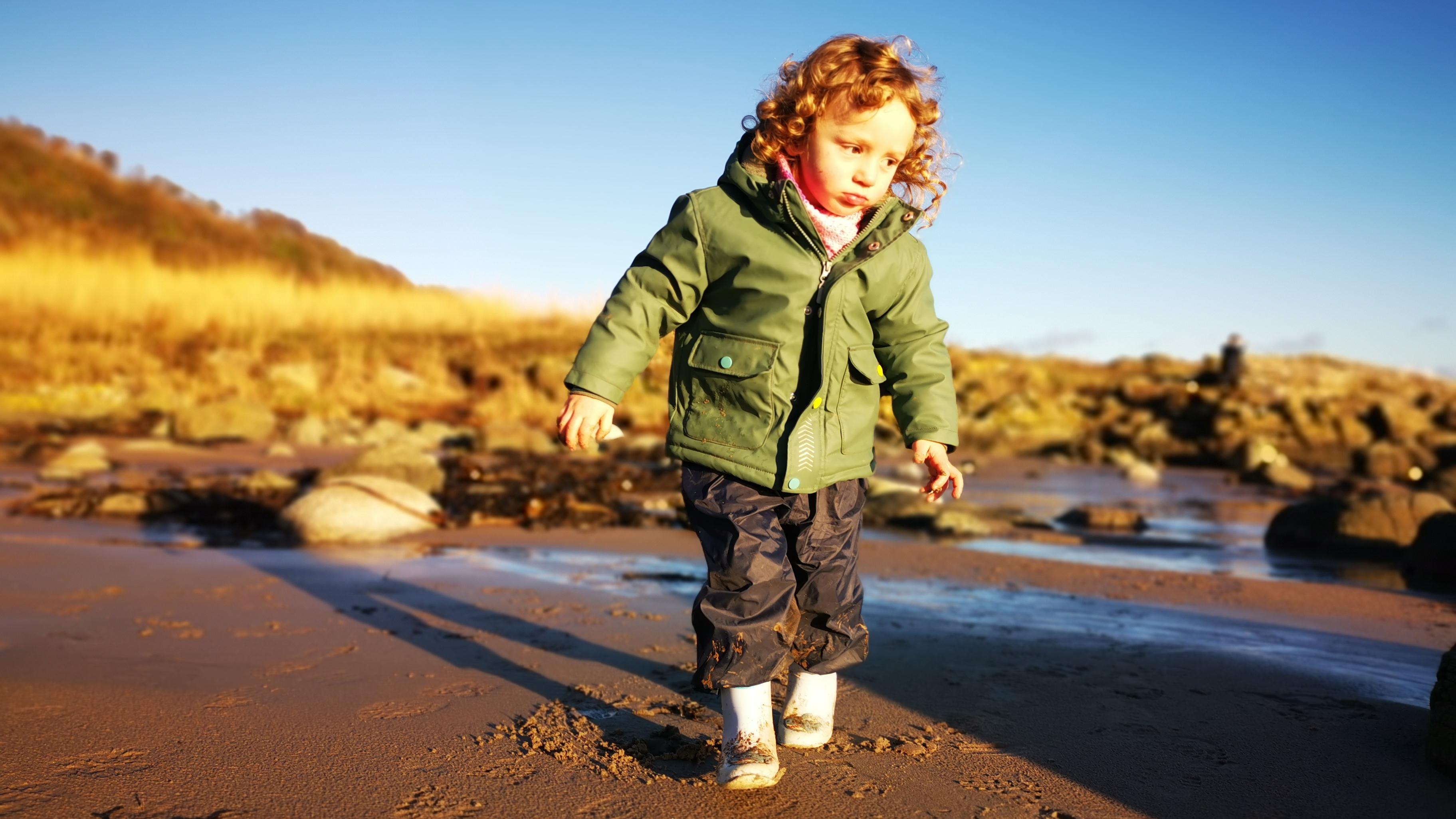 An otter in the woods